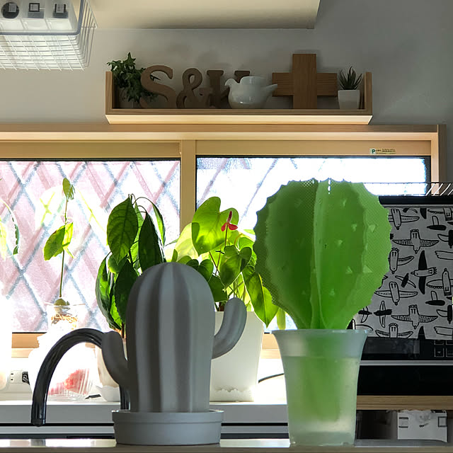 加湿器 パーソナル気化式加湿器サボテン Bruno ブルーノ 気化式 気化式加湿器 気化 サボテン ホワイト インテリア 卓上 卓上加湿器 オフィス コンパクト 小型 おしゃれ 可愛い かわいい 北欧 テイスト 記念日 女性 誕生日プレゼント 女友達 プチギフト テレワーク 在宅