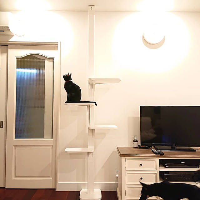 写真付きレビュー 掛け時計 電波時計 壁掛け時計 リズム時計 おしゃれ 北欧 かっこいい 白 ホワイト シンプル かわいい リビング ダイニング インテリア 子供部屋 8my4rh03 08の通販商品 口コミ情報 Roomclipショッピング