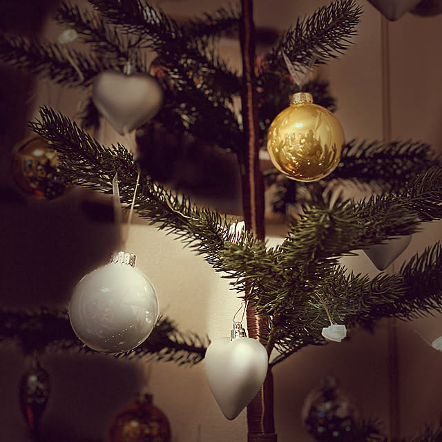 Ikea イケア アートプラント 室内 屋外用 クリスマスツリー グリーン170 Cm N Vinter のレビュー クチコミとして参考になる投稿3枚 Roomclip Item Ikea イケア アートプラント 室内 屋外用 クリスマスツリー グリーン170 Cm N Vinter のレビュー クチコミとして参考になる投稿3枚 Roomclip Item