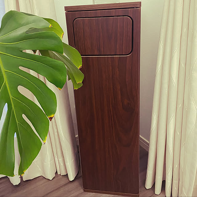 写真付きレビュー Offクーポン配布中 ゴミ箱 おしゃれ スリム 45リットル ふた付き 大容量 キッチン リビング ダストボックス 幅25 ごみ箱 角型 縦長 プッシュ式 スイング 北欧 袋 見えない 家具 インテリア モダン シンプル スイング式ダストボックス Empro