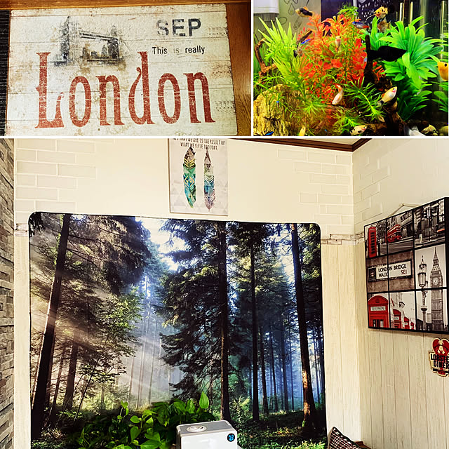 Botocoo タペストリー 壁掛け 風景 梦幻自然 木漏れ日の森 撮影用 背景 間仕切りカーテン おしゃれ インテリア雑貨 巨大美しい星空 ポスター 多機能壁飾り小物 自宅やお店の装飾 新居祝い個性プレゼント 気分転換 横x縦 230cmx180cm木漏れ日3 のレビュー 口コミとして