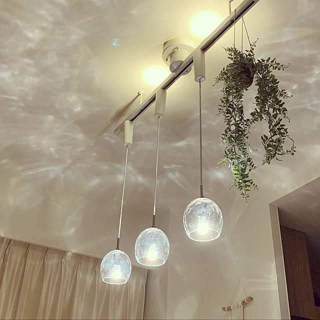 Francfranc クライミングプランツ カップ シダ フランフラン 生活雑貨 インテリアアクセのレビュー クチコミとして参考になる投稿3枚 Roomclip ルームクリップ