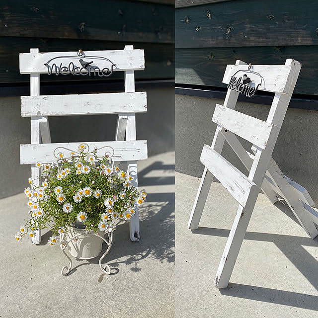 ハナカンザシ 花かんざし ヘリクリサム ローダンセ １株 花苗 ガーデニング 寄せ植え ドライフラワーにのレビュー クチコミとして参考になる投稿16枚 Roomclip ルームクリップ