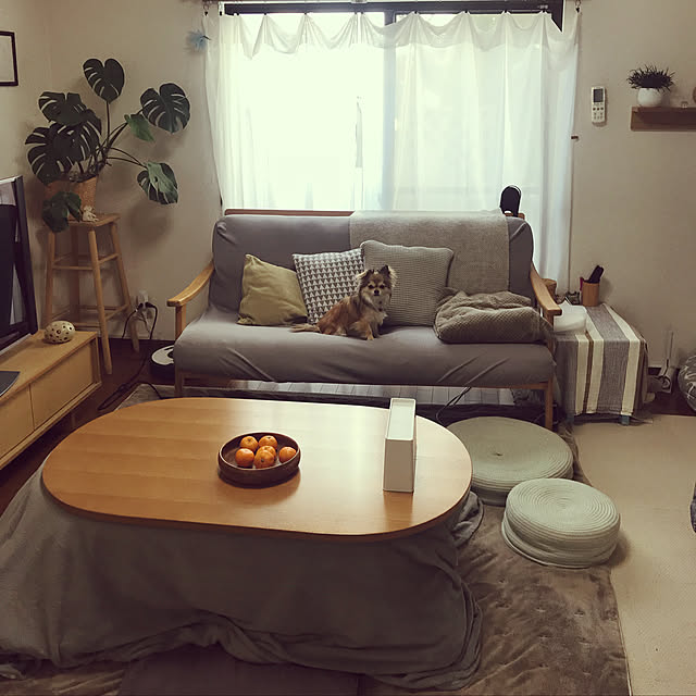 あたたか毛布 レギュラー チワワ 小型犬 犬 ペット フリース ブランケット 起毛 マイクロファイバー マット 保温 飼育用品 生地 ひざ掛け 敷く 可愛い カラフル 毛布 雑貨 子犬 パピーのレビュー クチコミとして参考になる投稿18枚 Roomclip ルームクリップ あたたか毛布 レギュラー チワワ 小型犬 犬 ペット フリース ブランケット 起毛 マイクロファイバー マット 保温 飼育用品 生地 ひざ掛け 敷く 可愛い カラフル 毛布 雑貨 子犬 パピーのレビュー クチコミとして参考になる投稿18枚 Roomclip ルームクリップ