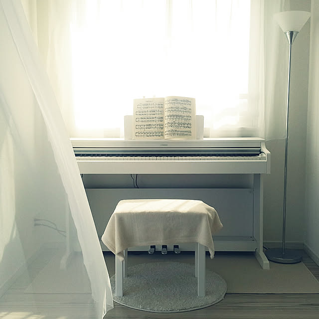 ニトリ フロアマット Nララ Iv 80x170 のレビュー 口コミとして参考になる投稿3枚 Roomclip ルームクリップ