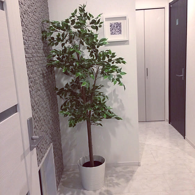 Ikea イケア 鉢カバー 24cm ホワイト 白 006 Muskotのレビュー クチコミとして参考になる投稿25枚 Roomclip ルームクリップ Ikea イケア 鉢カバー 24cm ホワイト 白 006 Muskotのレビュー クチコミとして参考になる投稿25枚 Roomclip ルームクリップ