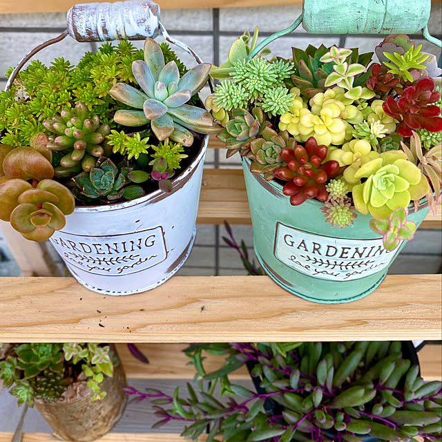 セリア Seria 革紐ネックレスのまとめページ Roomclip ルームクリップ