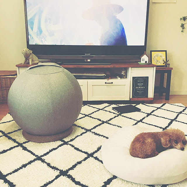 バランス スツール 55cm カバー付き HBS-55 バランスボール 台座付き 