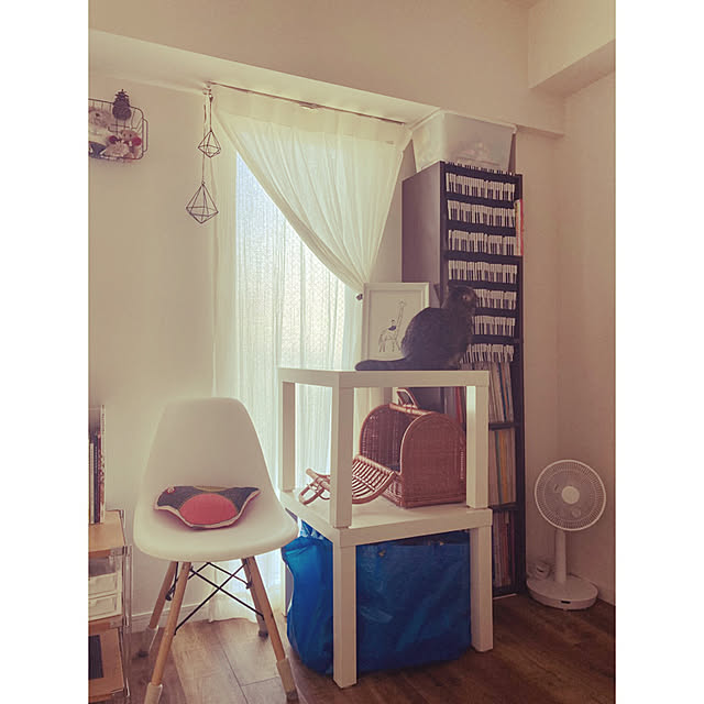 カラーボックス 幅40 5段 ダークブラウン ホワイト 木製 本棚 スリム ファイル収納 5段 サイズ キングファイル対応 書棚 本棚 オシャレ5段棚 カラーボックス 5段 収納棚 オフィス収納 おしゃれブックシェルフ ラック ナチュラル 送料無料 薄型 北欧 新生活の