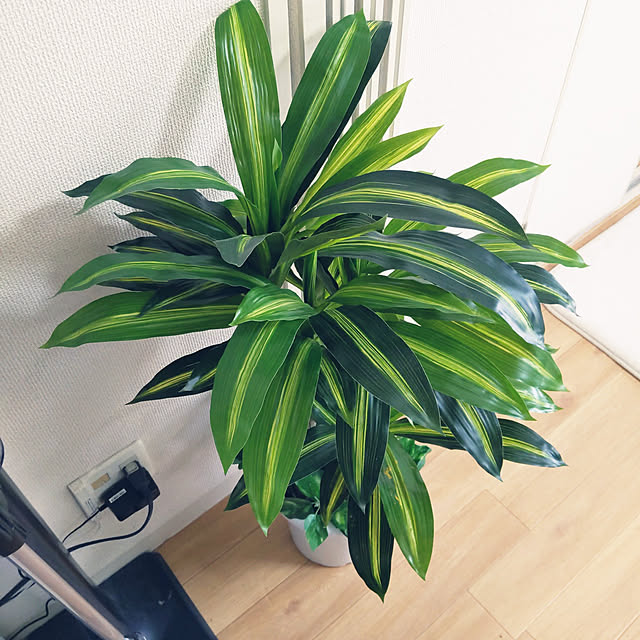 インテリアグリーン 2点セット フェイクグリーン 観葉植物 人工観葉植物 ベンジャミン 幸福の木 鉢ポット付き 光触媒 造花 インテリア お手入れ簡単 殺菌 防臭のレビュー クチコミとして参考になる投稿8枚