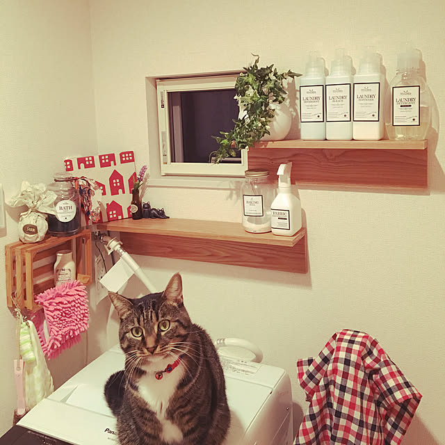 送料無料 アイリスオーヤマ 充電式スティッククリーナー Isc 7dce S Isc 7dce P Isc 7dce A シルバー ピンク ブルー Esc 7dck 楽天のレビュー クチコミとして参考になる投稿3枚 Roomclip ルームクリップ