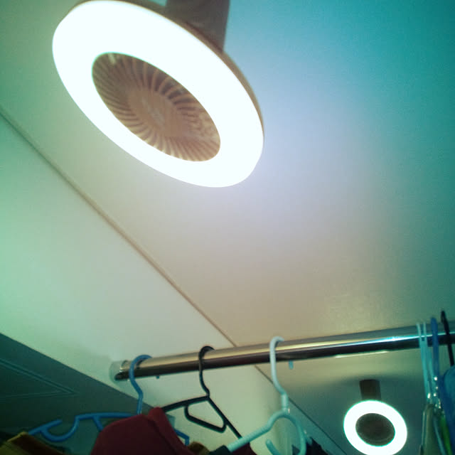 Ledライト シーリングファン レール用プラグの特典 Uzukaze Mini ファン付き 小型 扇風機 ウズカゼ ミニ うずかぜ 調光 Led電球 引っ掛け 電球色 昼光色 トイレ 脱衣所 サーキュレーター シーリングファンライト 引っ掛け Fce 222 Fce 223 木目 おしゃれ インテリアの