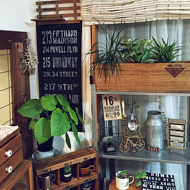 観葉植物/ウンベラータ/DIY棚/バスロールサイン/すのこ棚/IKEAの棚&hellip;などのインテリア実例 20151128 0014