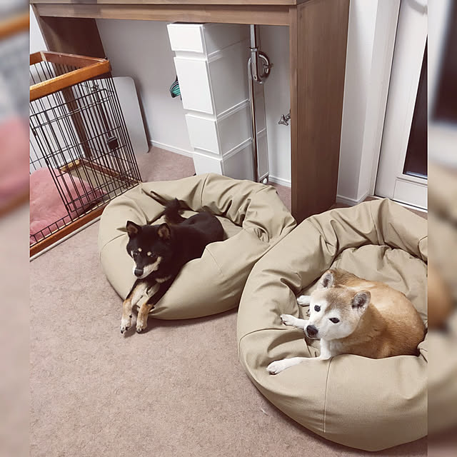 写真付きレビュー ペットベッド 犬 中型犬 Mサイズ ビーズクッション 国産合皮レザー 汚れ わた 犬 ネコ 安心 ビーズ わた補充可能 カバー 日本製 プレゼント ギフト コテラ こてらの通販商品 口コミ情報 Roomclipショッピング 写真付きレビュー ペットベッド 犬 中型犬 Mサイズ ビーズクッション 国産合皮レザー 汚れ わた 犬 ネコ 安心 ビーズ わた補充可能 カバー 日本製 プレゼント ギフト コテラ こてらの通販商品 口コミ情報 Roomclipショッピング