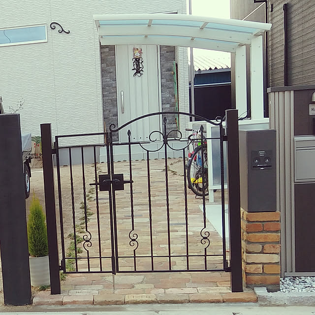 写真付きレビュー ゴールドクレスト 4号 H約40cm 苗木 コニファー 成長速度の速い植物 寄せ植えや お庭のシンボルツリーに ウィルマ クリスマスツリー クレスト 垣根 生垣 ウイルマ ポイント消化 観葉植物 敬老の日 ポイント消化 観葉植物の通販商品 口コミ情報