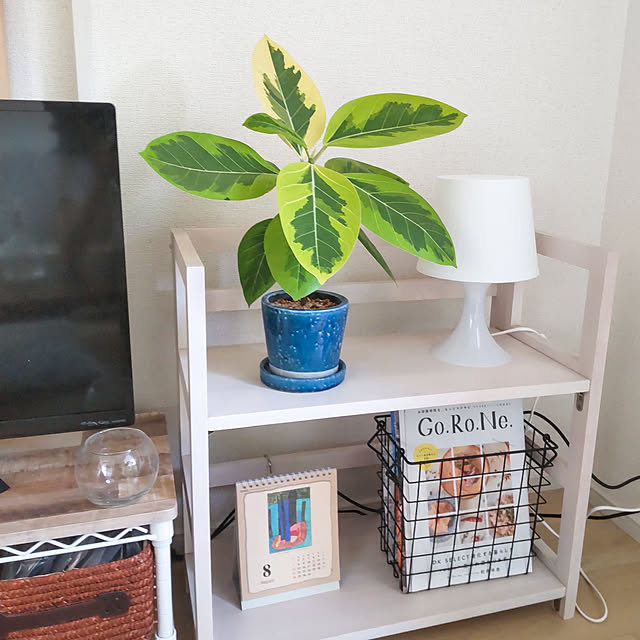 写真付きレビュー】DULTON ダルトン 植木鉢 おしゃれ 陶器鉢 小型 コンパクト フラワーポット かわいい 室内 屋内 部屋 屋外 テラコッタ 花 サボテン ハーブ 園芸 ガーデニング 鉢植え インテリア おすすめ 売れ筋 底穴あり プランター グレイズドポット Lの通販商品 ... 写真付きレビュー】DULTON ダルトン 植木鉢 おしゃれ 陶器鉢 小型 コンパクト フラワーポット かわいい 室内 屋内 部屋 屋外 テラコッタ 花 サボテン ハーブ 園芸 ガーデニング 鉢植え インテリア おすすめ 売れ筋 底穴あり プランター グレイズドポット Lの通販商品 ...