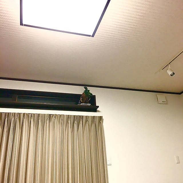 観葉植物 コウモリラン ビカクシダ ネザランズ3号ポットのレビュー クチコミとして参考になる投稿3枚 Roomclip ルームクリップ 観葉植物 コウモリラン ビカクシダ ネザランズ3号ポットのレビュー クチコミとして参考になる投稿3枚 Roomclip ルームクリップ