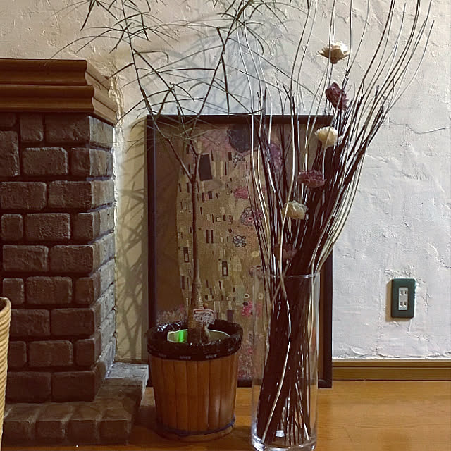 観葉植物 おしゃれ 希少品種 ブラキキトン ボトルツリー プラポットのレビュー クチコミとして参考になる投稿12枚 Roomclipショッピング 観葉植物 おしゃれ 希少品種 ブラキキトン ボトルツリー プラポットのレビュー クチコミとして参考になる投稿12枚 Roomclipショッピング