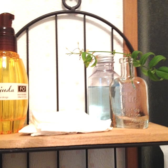 棚/salut !/studioclip/植物/salut!...などのインテリア実例 - 2014-02-13 21:51:36
