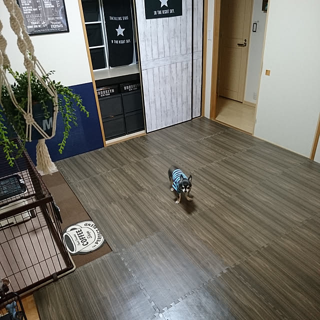 コストコ Best Step ジョイントクッションマット 8枚入 61 61cm 防水 防音 屋内 フロアマット 送料無料 Z のレビュー クチコミとして参考になる投稿32枚 Roomclip ルームクリップ