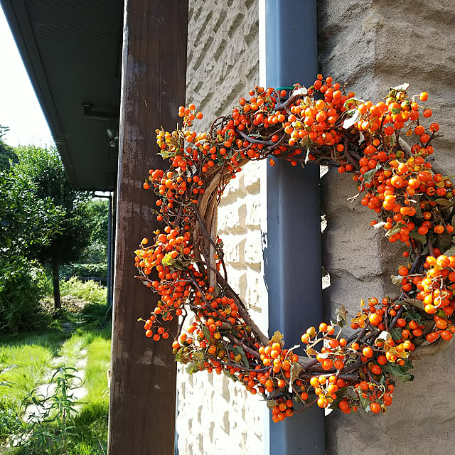 写真付きレビュー 1ポット ツルウメモドキ 9cmポット苗 樹木苗 苗木 つるもどきの通販商品 口コミ情報 Roomclipショッピング