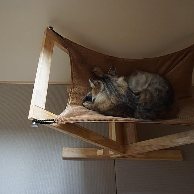 Oft キャットハンモック アドバンス 猫 ネコ ねこ ペット ベッド 木製 国産 日本製 夏 冬 おすすめ おしゃれ モダン シンプル インテリア 快適 工具不要 昼寝 のレビュー クチコミとして参考になる投稿2枚 Roomclip ルームクリップ