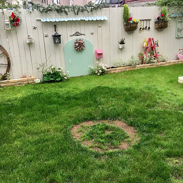 写真付きレビュー 超高級芝生ニュークリーピングベントグラス 新品種cy 2 登録品種 1kg シーワイツー お庭の広さ15 24坪用 バロネス寒地型 芝生の種 多年草 発芽適温摂氏15 25度程度です 共栄社の通販商品 口コミ情報 Roomclipショッピング