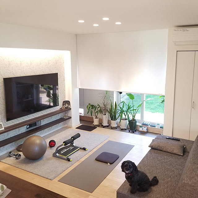 Dsy 4848ywgled間接照明 屋内用 ミニまくちゃん調光可能 L1139mm 電球色 Led12 6w大光電機 照明器具 天井 壁 床付兼用 傾斜天井対応 リビング ダイニング キッチンなどにのレビュー クチコミとして参考になる投稿5枚 Roomclip ルームクリップ Dsy 4848ywgled間接照明 屋内用 ミニまくちゃん調光可能 L1139mm 電球色 Led12 6w大光電機 照明器具 天井 壁 床付兼用 傾斜天井対応 リビング ダイニング キッチンなどにのレビュー クチコミとして参考になる投稿5枚 Roomclip ルームクリップ