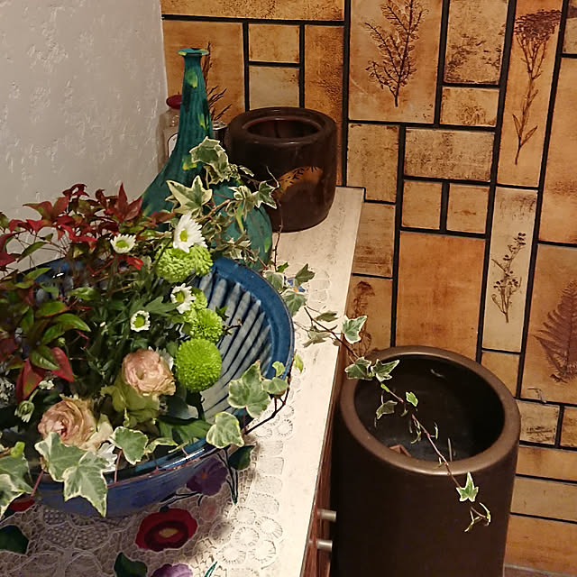 ヘデラ 雪ほたる 斑入りヘデラ ユキホタル カラーリーフ 観葉植物 ポット苗 寄せ植え のレビュー クチコミとして参考になる投稿11枚 Roomclip ルームクリップ ヘデラ 雪ほたる 斑入りヘデラ ユキホタル カラーリーフ 観葉植物 ポット苗 寄せ植え のレビュー クチコミとして参考になる投稿11枚 Roomclip ルームクリップ