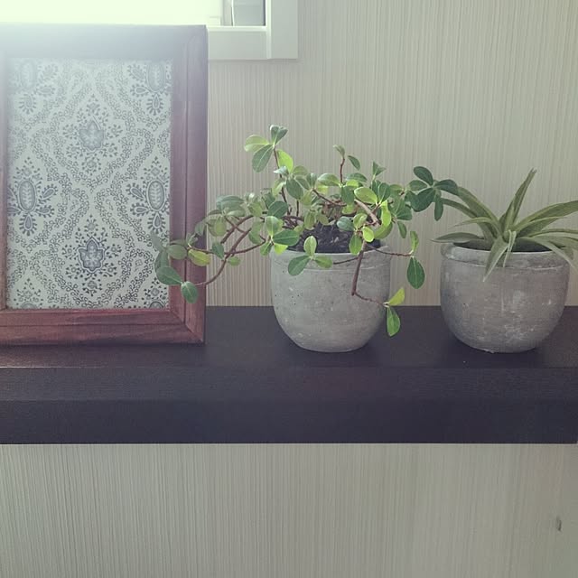 棚/買ってよかったモノ/洗面所/無印良品/壁に付けられる家具/写真立て&hellip;などのインテリア実例 20160306 103722