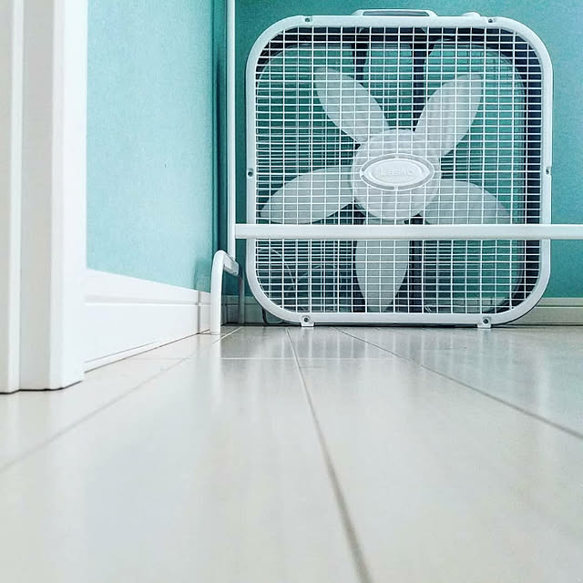 Lasko 3733 ラスコ Lasko Box Fan ボックス型サーキュレーター 扇風機 ホワイト のレビュー クチコミとして参考になる投稿13枚 Roomclip ルームクリップ Lasko 3733 ラスコ Lasko Box Fan ボックス型サーキュレーター 扇風機 ホワイト のレビュー クチコミとして参考になる投稿13枚 Roomclip ルームクリップ