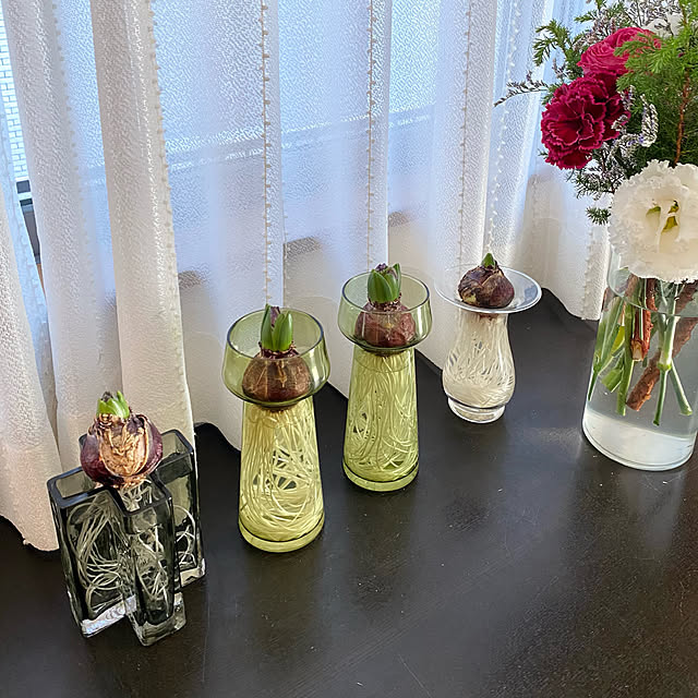 Holmegaard Old English ヒヤシンス ベース オールドイングリッシュold English Hyacinth Vase Clear H14 ホルムガード デンマーク 花瓶 ガラス 北欧 ヒアシンスのレビュー クチコミとして参考になる投稿3枚 Roomclip ルームクリップ