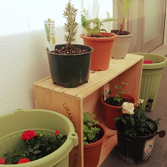玄関/入り口/ベランダ風景/植物/ベランダガーデン のインテリア実例 - 2014-05-22 00:23:56