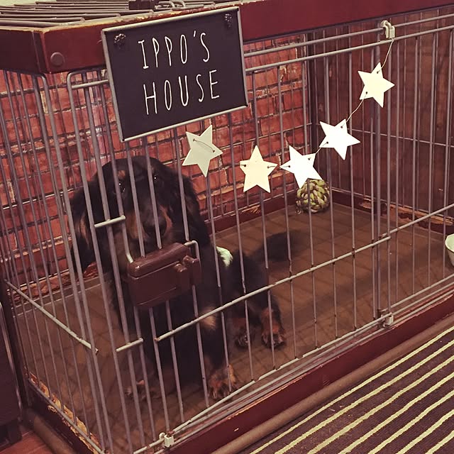 春夏新色 天然木フレームのサークル 安い直販店 Www Demo Sourcedesaubaines Com