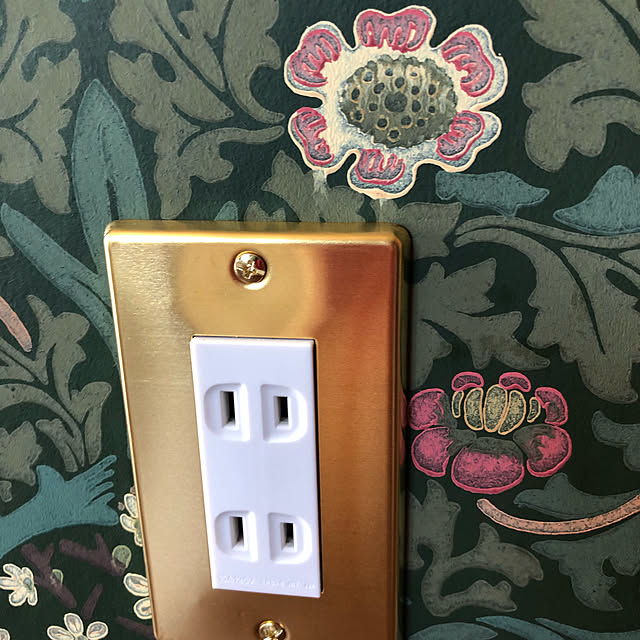 オーム電機 メール便送料無料 スイッチプレート 真鍮 3口用 Ohm 00 4700 Hs Uc03 おしゃれ かわいい スイッチカバー コンセントカバーのレビュー 口コミとして参考になる投稿1枚 Roomclipショッピング