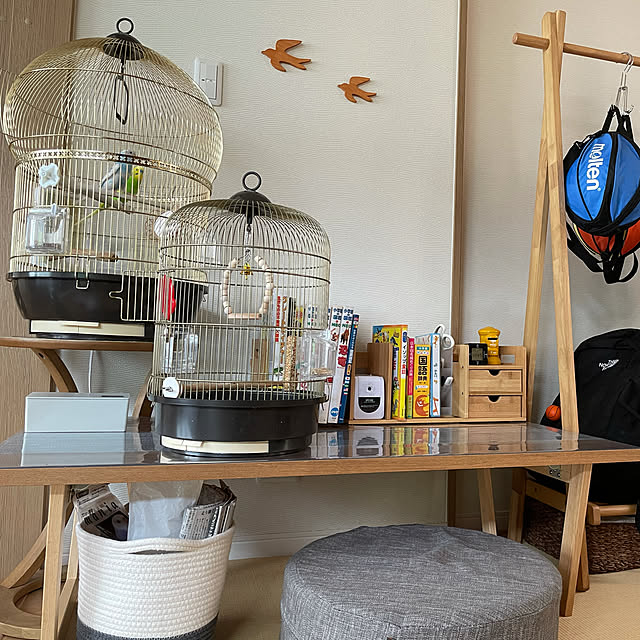 鳥かご レジーナ アンティークブラス Regina Antiquebrass 鳥籠 ゲージ フルセット カナリア セキセイインコ 小型鳥用 かご おしゃれ 小鳥 イタリアferplast社製のレビュー クチコミとして参考になる投稿1枚