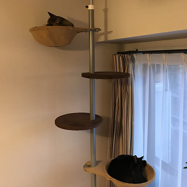 写真付きレビュー 猫 キャットポール 部品 ボンビ キャットポール用ハンモック 部材 キャットタワー ペット ペット用品 猫用品の通販商品 口コミ情報 Roomclipショッピング