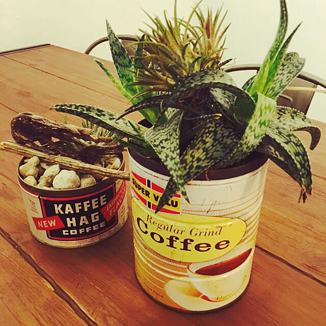 ハンドメイド フェイクグリーン キャンドゥ 観葉植物 机のインテリア実例 19 03 22 11 30 00 Roomclip ルームクリップ