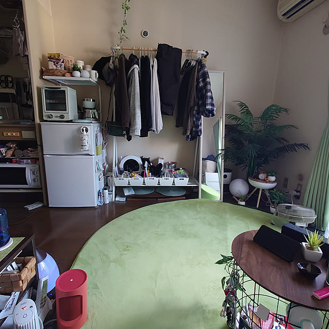 ミニ インテリアグリーン 造花 エアプランツ 3点セット 観葉植物 ユーカリ ファンシェイプ グリーン ミニ インテリアグリーン 造花 エアプランツ 3点セット 観葉植物 ユーカリ ファンシェイプ グリーン