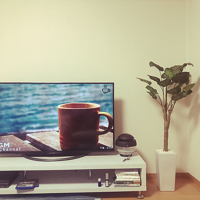 Doris 人工観葉植物 光触媒 簡単世話いらず 水やり不要 フェイクグリーン 陶器鉢 ウンベラータのレビュー クチコミとして参考になる投稿1枚 Roomclip ルームクリップ Doris 人工観葉植物 光触媒 簡単世話いらず 水やり不要 フェイクグリーン 陶器鉢 ウンベラータのレビュー クチコミとして参考になる投稿1枚 Roomclip ルームクリップ