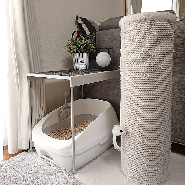 ユニチャーム Amazon Co Jp限定 デオトイレ 猫用トイレ本体 ハーフカバー本体セット Az シルキーホワイト 猫用のレビュー 口コミとして参考になる投稿42枚 Roomclip ルームクリップ