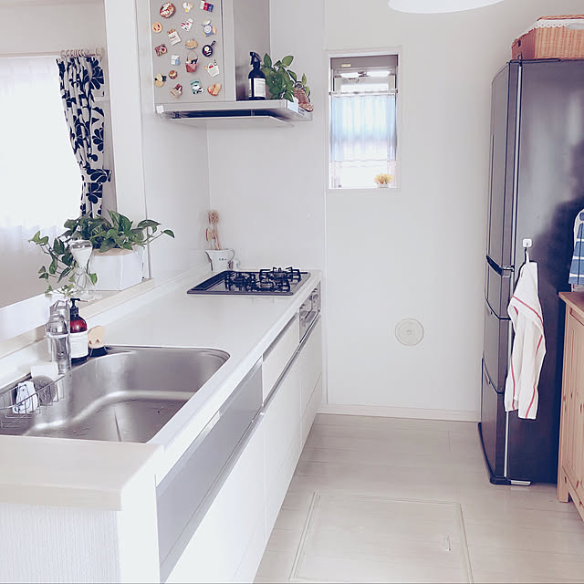 写真付きレビュー レデッカー ウォッシングブラシ 食器用 ブラシ キッチン 食器洗い お皿 木製 馬毛 たわし タワシ ハンドメイド 天然素材 ドイツ Redecker おしゃれ 雑貨 フォブコープ Fobcoopの通販商品 口コミ情報 Roomclipショッピング