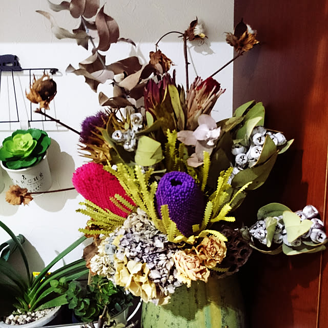 写真付きレビュー Kingprotea Cut Flower キングプロテア 切り花 1本の通販商品 口コミ情報 Roomclipショッピング 写真付きレビュー Kingprotea Cut Flower キングプロテア 切り花 1本の通販商品 口コミ情報 Roomclipショッピング