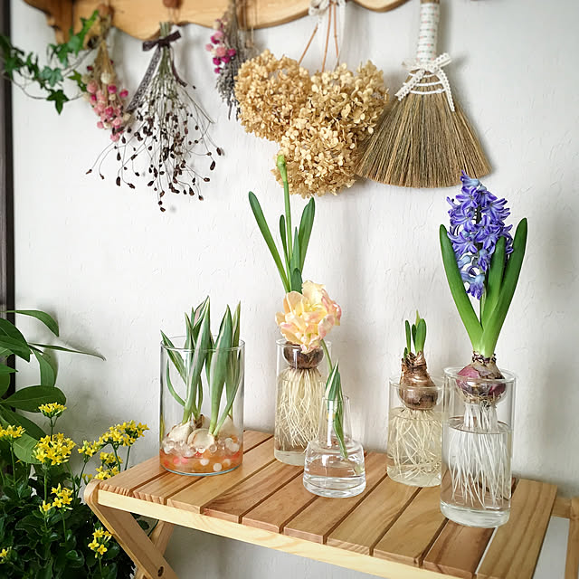 Ikea イケア Cylinder シリンデル 花瓶 3点セット クリアガラス D インテリア雑貨 インテリア小物 置物 フラワーベース おしゃれ シンプル 北欧 かわいいのレビュー クチコミとして参考になる投稿65枚