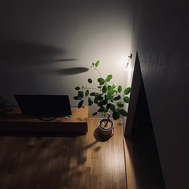 Lunkesi コード付ソケット E26 電球ソケット コード付き 超長2 5ｍ コンセント ライト ランプ 電球 プラグ 金属 プラスチック製 工事不要 おしゃれ スイッチ付 4個セット のレビュー 口コミとして参考になる投稿1枚