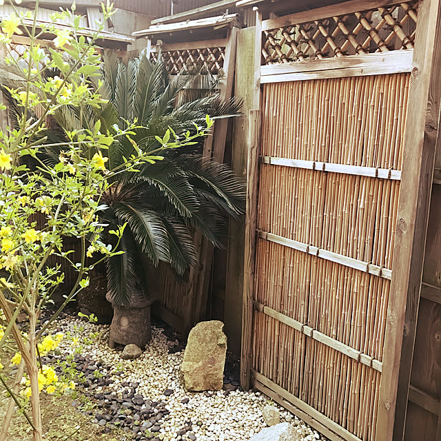 写真付きレビュー 送料無料 白玉石 30mm kg 庭 砂利 おしゃれ 白 石 ホワイト 種類 玉石 玉砂利 Diy ガーデニング 園芸 ガーデン 庭石 白砂利 白い石 白石 化粧石 化粧砂利 敷石 敷砂利 敷き砂利 エクステリア 外構 玉石砂利 庭砂利 ドライガーデン ストーンガーデン