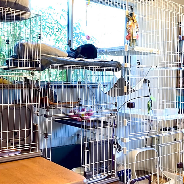 ブラウン系通販 【中古】キャットケージ(Purlove) 猫用品 ペット用品
