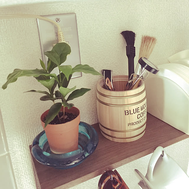 カリタ Kalita カリタ コーヒーポット用 温度計 サーモ のレビュー 口コミとして参考になる投稿2枚 Roomclip ルームクリップ