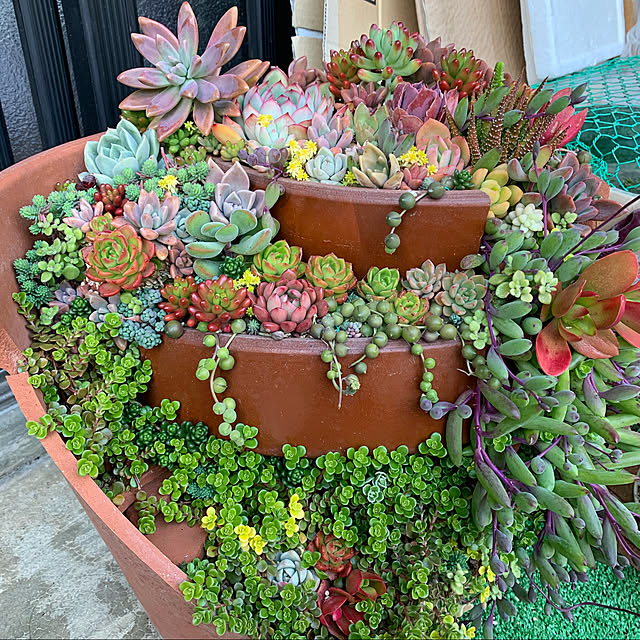 Disney ディズニー Tシャツリメイク のまとめページ Roomclip ルームクリップ