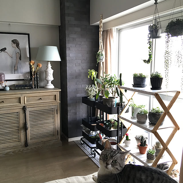 My Shelf/エコカラット/ハンギングプランツ/植木鉢/フェイクグリーン/ベルメゾンの折りたためるラック&hellip;などのインテリア実例